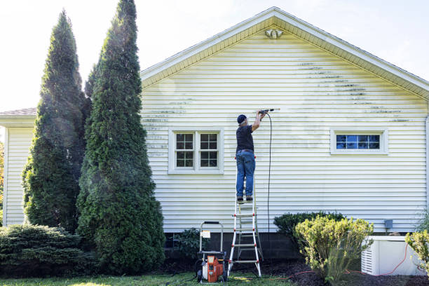 Best Roof Power Washing Services  in Pelahatchie, MS