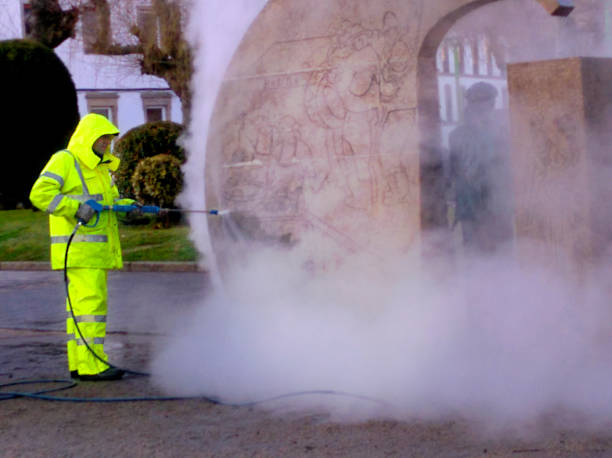 Best Pressure Washing Brick  in Pelahatchie, MS
