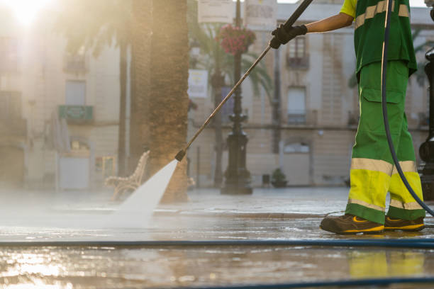 Best Roof Pressure Washing  in Pelahatchie, MS