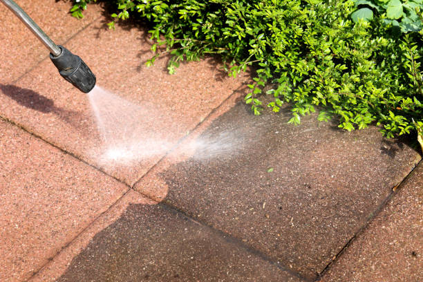 Best Commercial Building Pressure Washing  in Pelahatchie, MS